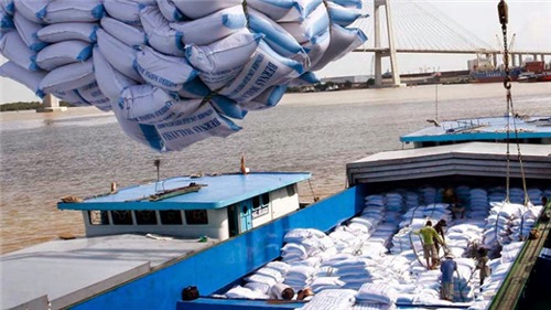 Hủy tờ khai hải quan 53.321 tấn gạo xuất khẩu
