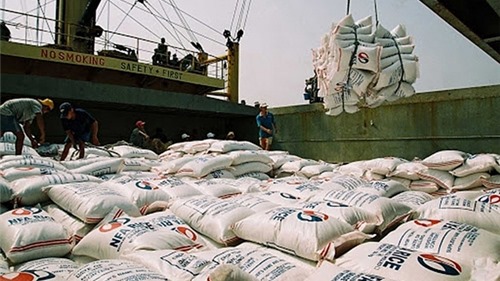 Gạo Việt Nam xuất khẩu ‘giảm lượng, tăng chất’