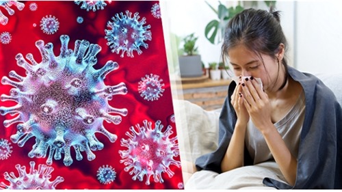 Cách phân biệt virus Corona và cảm lạnh thông thường