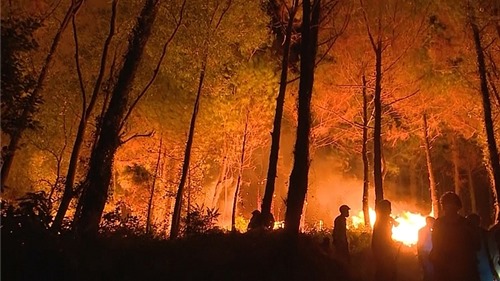 Hà Nội: Tăng cường các biện pháp cấp bách về phòng cháy, chữa cháy rừng