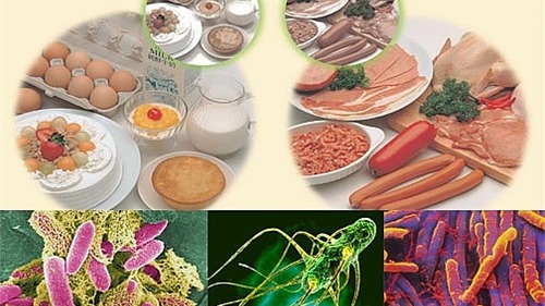 Nguyên nhân và cách xử lý khi bị ngộ độc thực phẩm