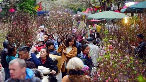 Hà Nội tổ chức 51 điểm chợ hoa Xuân phục vụ Tết Canh Tý