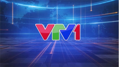 Lịch phát sóng VTV1 ngày 11/6/2020
