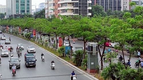 9 tháng đầu năm, Hà Nội trồng được 144,7 nghìn cây đô thị