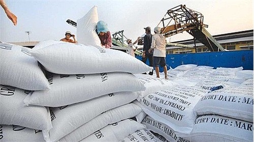 Hà Nội: Tháo gỡ khó khăn thúc đẩy xuất khẩu gạo trong bối cảnh dịch Covid-19
