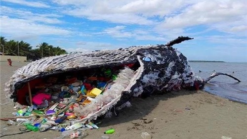 Năm 2030, 100% các khu du lịch ven biển không sử dụng nhựa dùng một lần