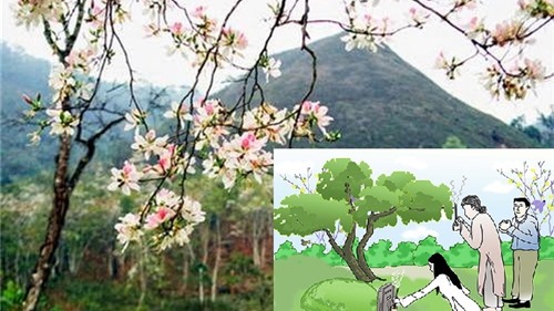 Những điều nên và không nên làm trong Tết thanh minh