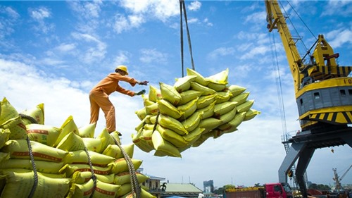 Xuất khẩu gạo có thể mang về hơn 5 tỷ USD trong năm 2024