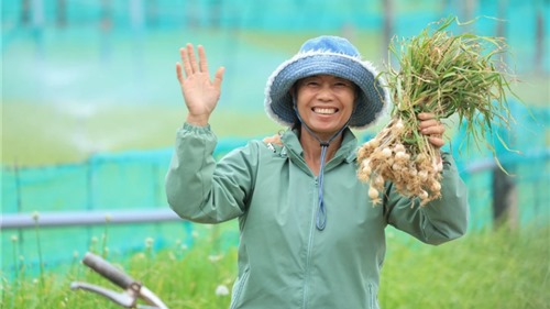  Nam Ngư cùng nông dân đảo Lý Sơn phát triển kinh tế địa phương 