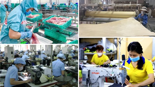 Bộ Chính trị ban hành Nghị quyết mới: Xóa bỏ triệt để thái độ định kiến về KTTN