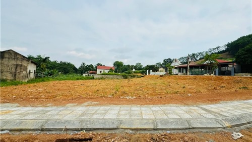 Đất nền "soán ngôi" chung cư, dẫn dắt thị trường bất động sản quý I/2025 