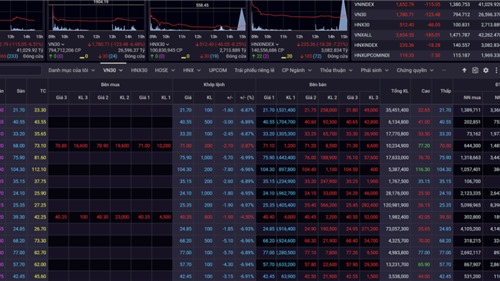 Chứng khoán giảm sâu, cổ phiếu bất động sản “nằm sàn”