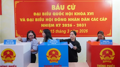  Những điều cử tri cần lưu ý khi tham gia bỏ phiếu 