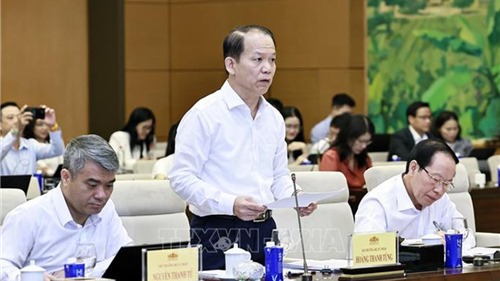 UBTVQH họp phiên 4: Đề xuất quy định mới chặn "cò đấu giá, giá ảo"