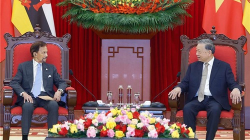 Khai thác hiệu quả tiềm năng hợp tác giữa hai nước Việt Nam và Brunei 