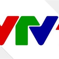 Lịch phát sóng VTV1 20/2/2020
