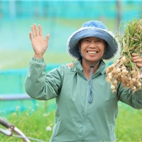  Nam Ngư cùng nông dân đảo Lý Sơn phát triển kinh tế địa phương 