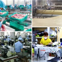 Bộ Chính trị ban hành Nghị quyết mới: Xóa bỏ triệt để thái độ định kiến về KTTN