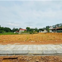 Đất nền "soán ngôi" chung cư, dẫn dắt thị trường bất động sản quý I/2025 