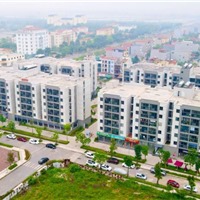  Thí điểm chỉ định thầu: "Làn xanh" cho doanh nghiệp dám làm nhà ở xã hội 