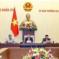  Bổ sung cơ chế kiểm tra, đánh giá, bảo đảm chất lượng nhà ở xã hội 