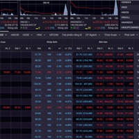 Chứng khoán giảm sâu, cổ phiếu bất động sản “nằm sàn”