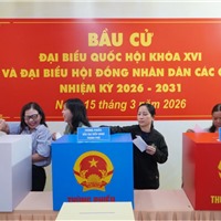  Những điều cử tri cần lưu ý khi tham gia bỏ phiếu 