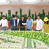 Giá chưa giảm, lãi suất tăng & "điểm mù" trong tính toán tài chính người mua nhà