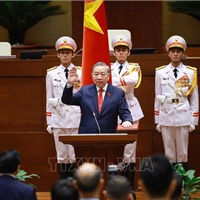 Tiểu sử tóm tắt của Tổng Bí thư, Chủ tịch nước Tô Lâm 