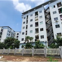 Chính phủ quy định 22 trường hợp được miễn thuế thu nhập cá nhân 