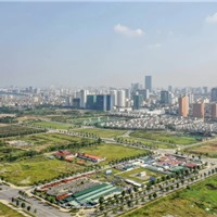 Đấu giá đất nền "sốt" trở lại: Ai đang xuống tiền? 