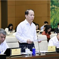 UBTVQH họp phiên 4: Đề xuất quy định mới chặn "cò đấu giá, giá ảo"