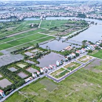 Đấu giá đất sôi động: Ngân sách tăng nhưng rủi ro thị trường tiềm ẩn?