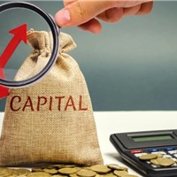 Sức khỏe các quỹ đầu tư tại Việt Nam: Dòng vốn có thể &#39;đảo chiều&#39; khi thị trường