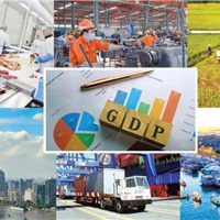  GDP Việt Nam năm 2025 tăng trưởng khá, ước đạt 8,02% 