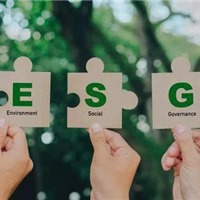 Thúc đẩy thực hành ESG: Nền móng cho thị trường vốn xanh Việt Nam 