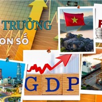  Đổi mới mô hình tăng trưởng: Việt Nam học được gì từ các nền kinh tế đi trước? 