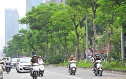  Nhiều đường phố Hà Nội như được khoác áo mới vì được phủ xanh dải phân cách 