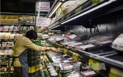 Hong Kong dừng nhập khẩu thịt, trứng gia cầm từ Mỹ, Pháp và Mexico
