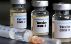 Việt Nam có thể cung ứng rộng rãi vắc xin COVID-19 vào Quý II/2022