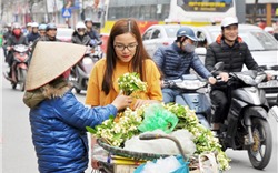 Hà Nội: Hoa bưởi 200.000 đồng/kg hút khách 