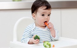 Chế độ dinh dưỡng cho bé 8 tháng tuổi