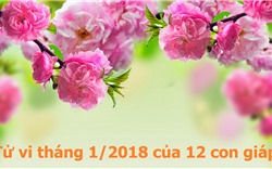 Tử vi tháng 1/2018 của 12 con giáp