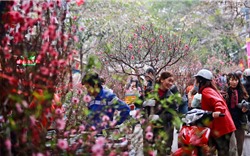Các hội chợ Xuân hấp dẫn nhất tết Mậu Tuất 2018 tại Hà Nội