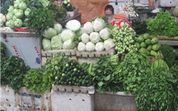 Hà Nội: Giá rau xanh tăng mạnh vì rét đậm kéo dài