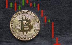 Bitcoin giảm thê thảm 50% trong quý 1