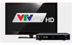 12 kênh mới trên VTVCab chiếu những gì?