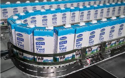 Vinamilk tiếp tục khẳng định vị trí dẫn đầu thị trường sữa tươi tại Việt Nam