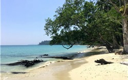 Côn Đảo lọt top bãi biển xanh sạch nhất Đông Nam Á