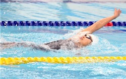 Nên chọn trung tâm học bơi nào chất lượng cho người lớn?